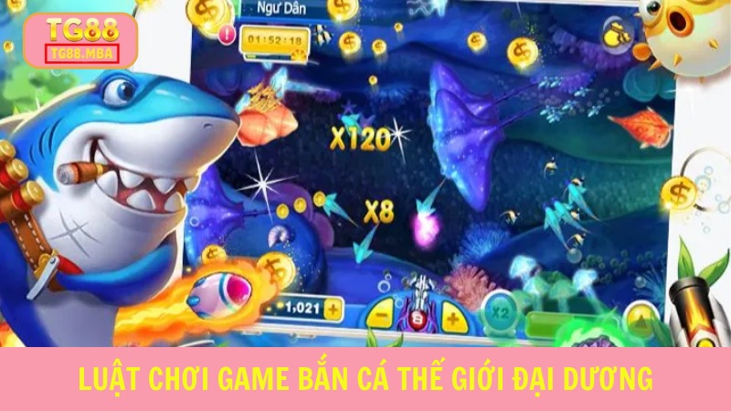 Cập nhật luật chơi cụ thể để bắt đầu trải nghiệm sản phẩm