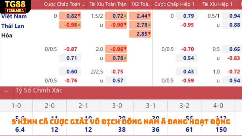 5 hình cá cược giải Vô địch Đông Nam Á đang hoạt động