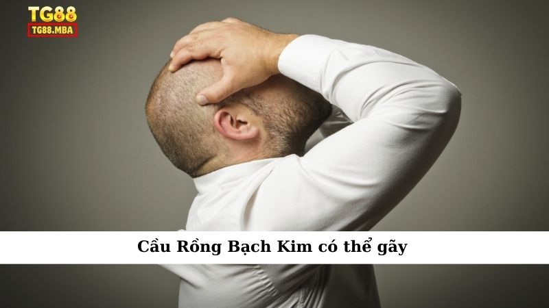 Cầu Rồng Bạch Kim có thể gãy