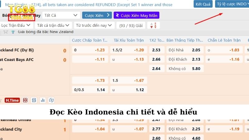 Đọc Kèo Indonesia chi tiết và dễ hiểu