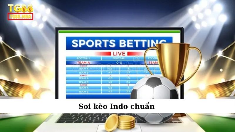 Soi kèo Indo chuẩn