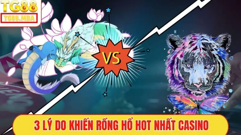 3 lý do khiến Rồng Hổ HOT nhất casino